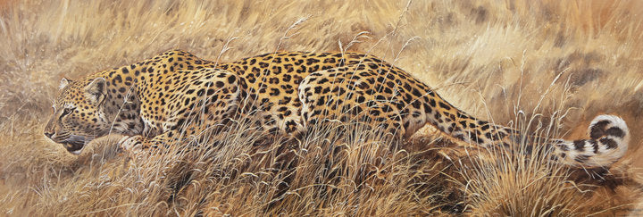 Kunstdruck - Renato Casaro - 100*30cm