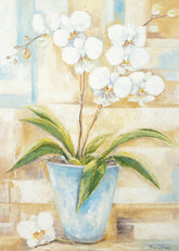 Kunstdruck - Rian Withaar - 50*70cm