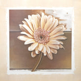 Kunstdruck - Tamara Ross - 50*50cm