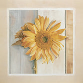 Kunstdruck- Tamara Ross - 50*50cm