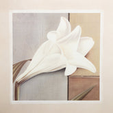 Kunstdruck - Tamara Ross - 50*50cm