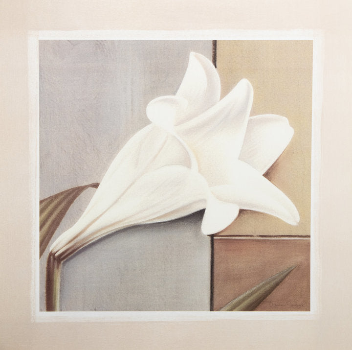 Kunstdruck - Tamara Ross - 50*50cm