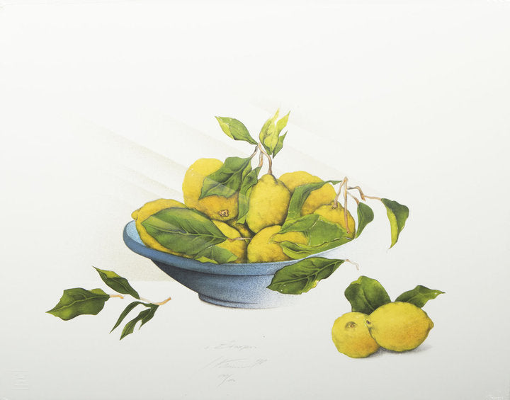Lithographie - Susanne Hartmann - 65*51cm