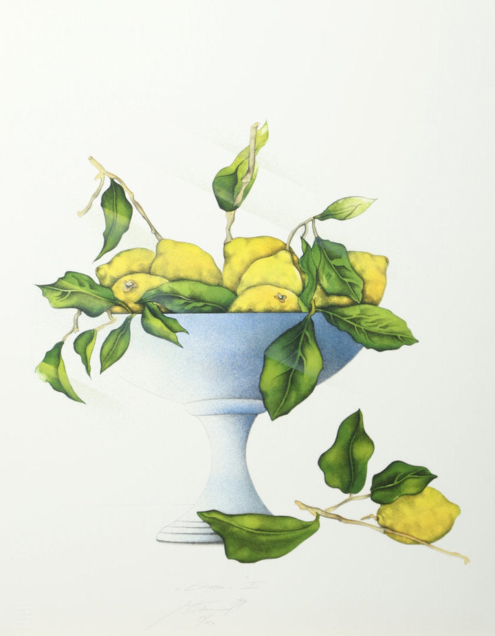 Lithographie - Susanne Hartmann - 49*64cm