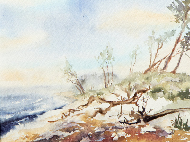 Original Aquarell - unleserlich signiert - 35*28cm