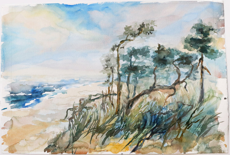 Original Aquarell - unleserlich signiert - 70*50cm