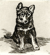 Radierung - Falk - 12*12cm