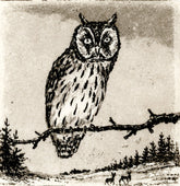 Radierung - Falk - 12*12cm