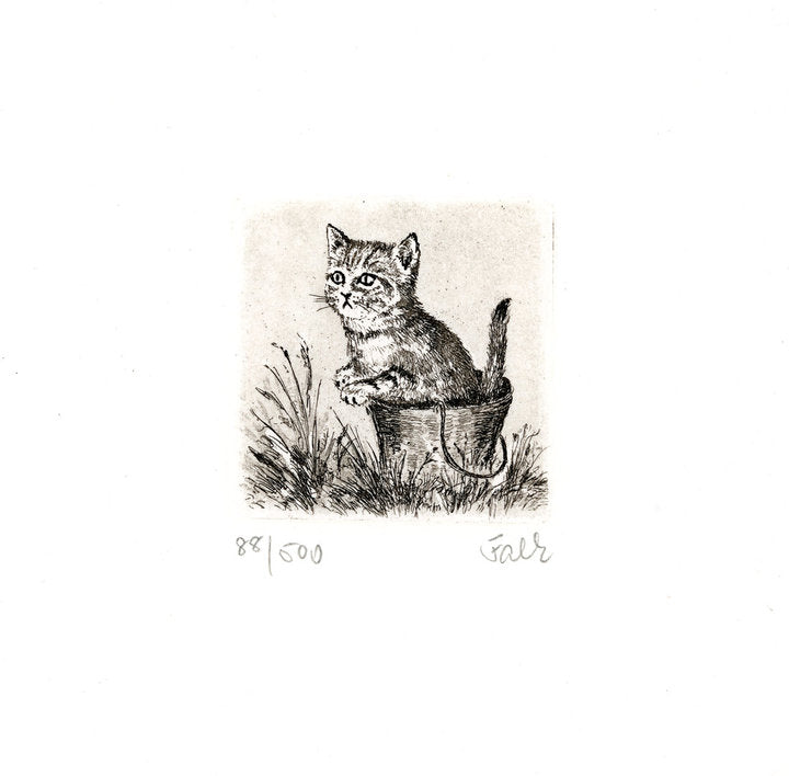 Radierung - Falk - 12*12cm
