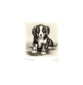 Radierung - Falk - 12*12cm