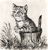 Radierung - Falk - 12*12cm