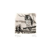 Radierung - Falk - 12*12cm