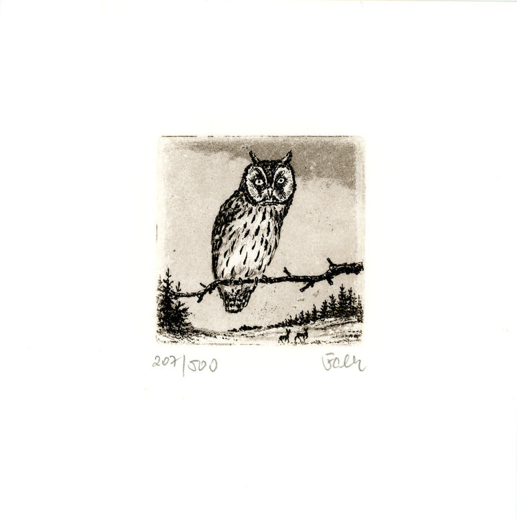 Radierung - Falk - 12*12cm