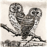 Radierung - Falk - 12*12cm