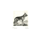 Radierung - Falk - 12*12cm