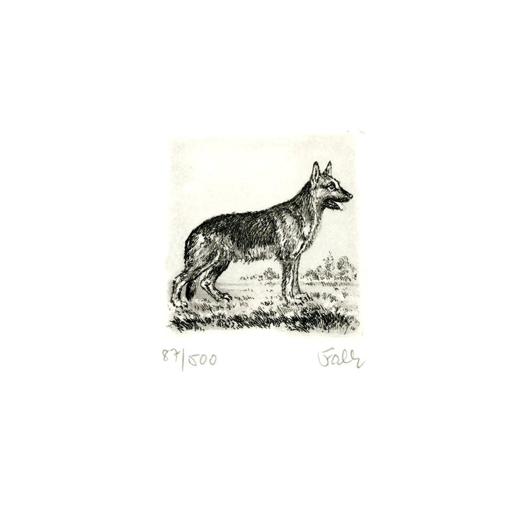 Radierung - Falk - 12*12cm