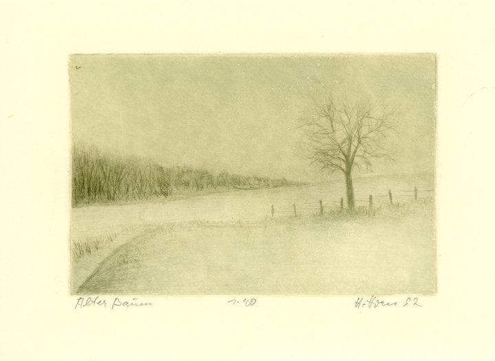 Radierung - Horn - 18*13cm