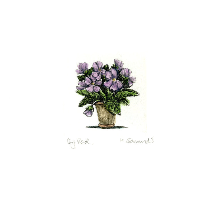 Radierung - Sommer - 12*12cm