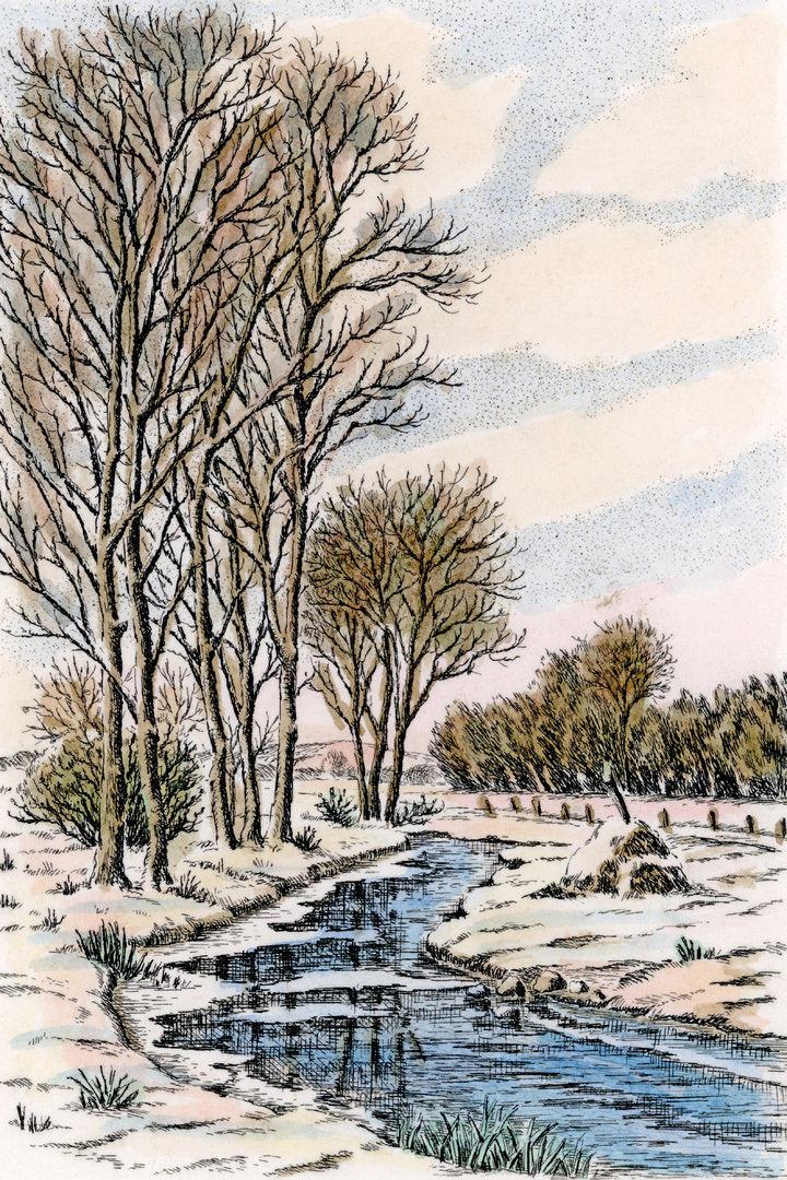 Radierung - Willy Scholz - 20*25cm
