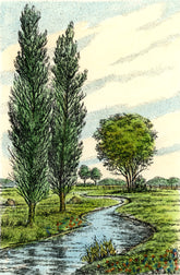 Radierung - Willy Scholz - 20*25cm