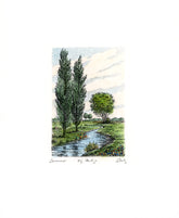 Radierung - Willy Scholz - 20*25cm