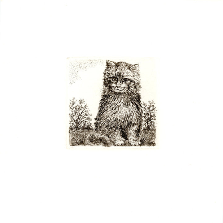 Radierung- unleserlich signiert - 12*12cm