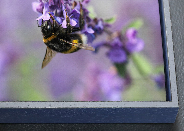 Foto auf Leinwand - Rügen