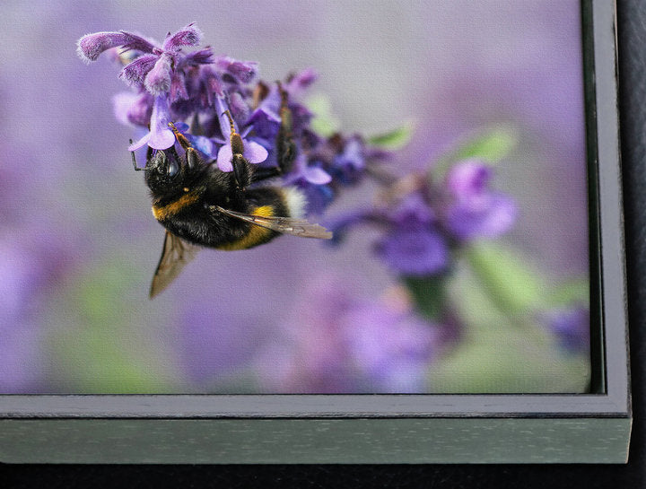 Foto auf Leinwand - Hiddensee Neundorf