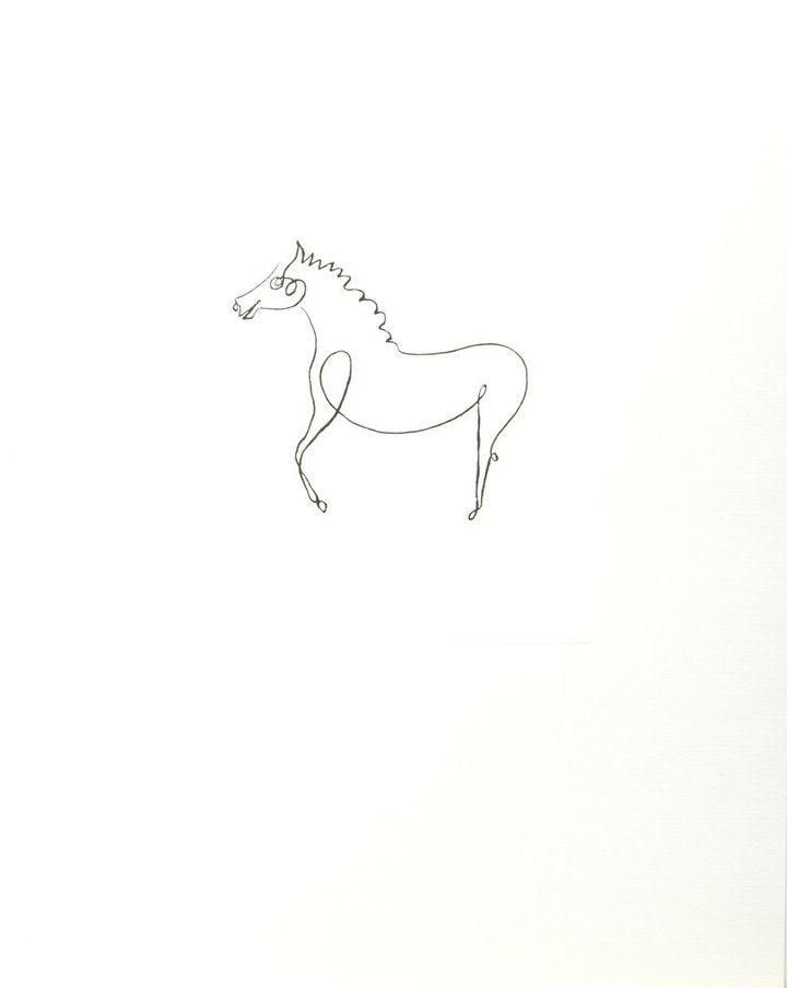 Druckgrafik - Picasso Pablo - 40*50cm