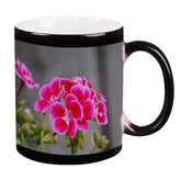 Zaubertasse - Pelargonien (Geranie)