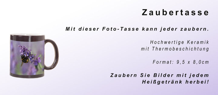 Zaubertasse - Möwe auf Kutter