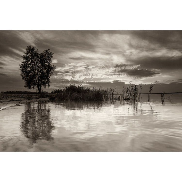 Bodstedt Strand