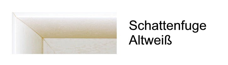 Klassische Leiste 1371131