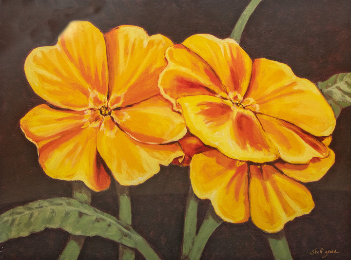 Kunstdruck - Steff Green - 80*60cm
