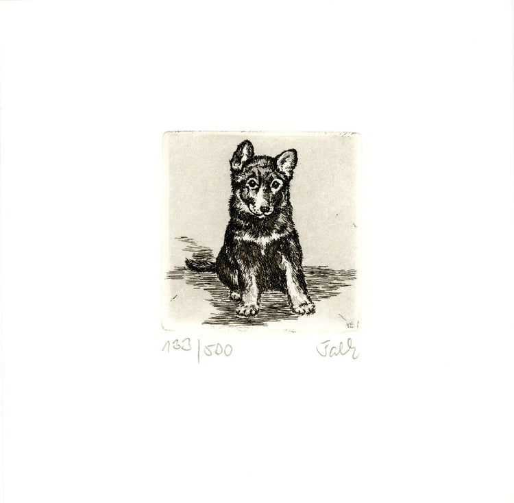 Radierung - Falk - 12*12cm