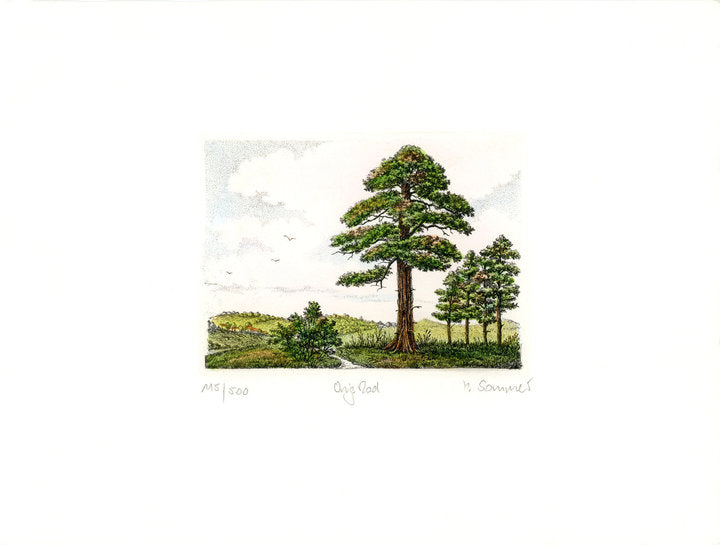 Radierung - Sommer - 24*18cm